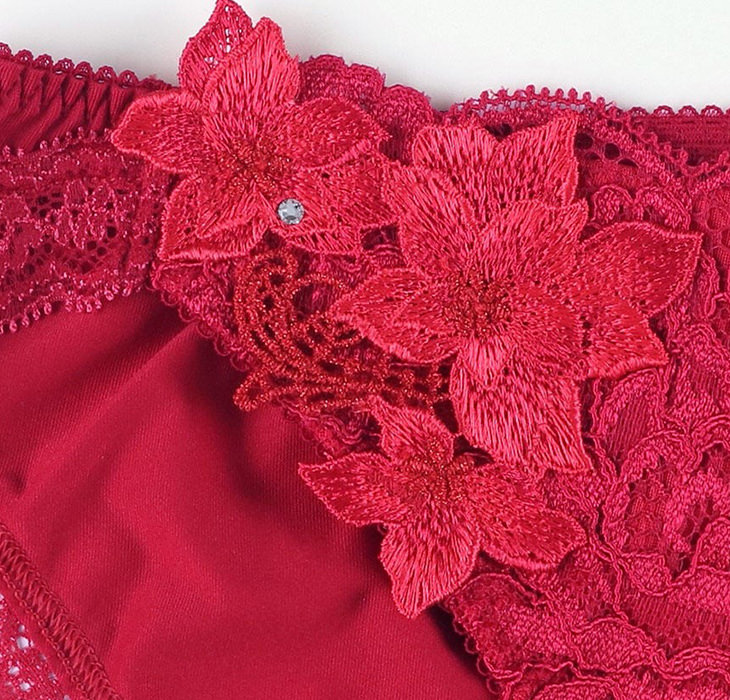 ワコール サルート Salute 27シリーズ  ショーツ パンツ スーパービキニ スタンダード 刺繍 セクシー ランジェリー 勝負下着 花柄 フラワー柄