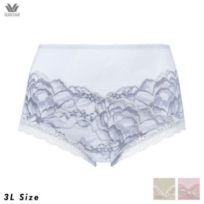 ワコール ラゼ LASEE ボディスーツ 95シリーズ Eカップ LL・3L