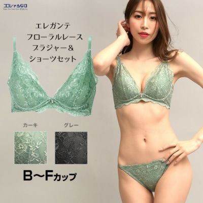 エレガンテ カシュクールレース ブラジャー&ショーツセット レディース B-Fカップ アンダー65-75まで