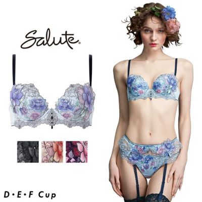 Salute 80Gブラ＆ソング【D70】 Wacoal - Saluteサルート 24g ブラD70 ソングM プレステージ新品